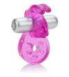 CALEXOTICS - MICRO VIBE AROUSER LAPIN