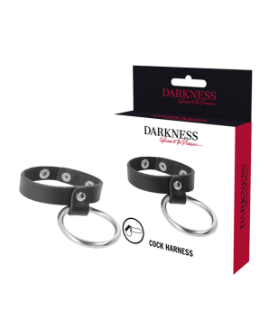 DARKNESS - ANNEAU MÉTALLIQUE POUR LE PÉNIS ET LES TESTICULES