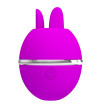 PRETTY LOVE - VIBRATEUR ROND EN SILICONE GEMINI BALL VIOLET