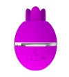 PRETTY LOVE - VIBRATEUR ROND EN SILICONE GEMINI BALL VIOLET