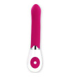 PRETTY LOVE - FLIRTATION VIBRATEUR DANIEL