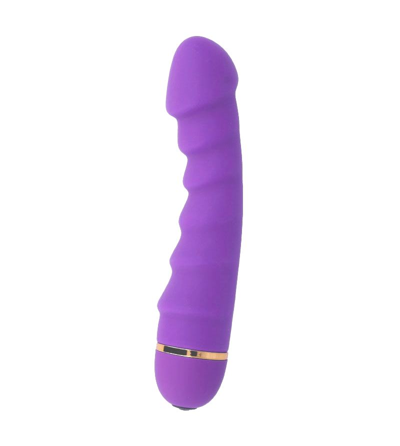 INTENSE - SALLY 20 VITESSES SILICONE LILAS