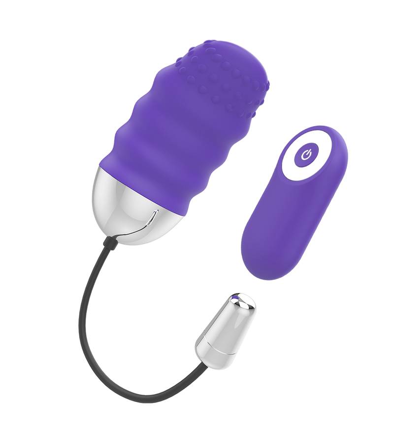 MR BOSS - TÉLÉCOMMANDE DENIS EGG