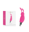 INTENSE - LAPIN ROGER ROSA