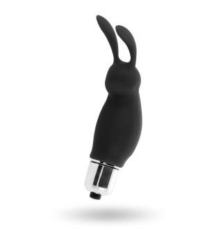 INTENSE - LAPIN ROGER NOIR