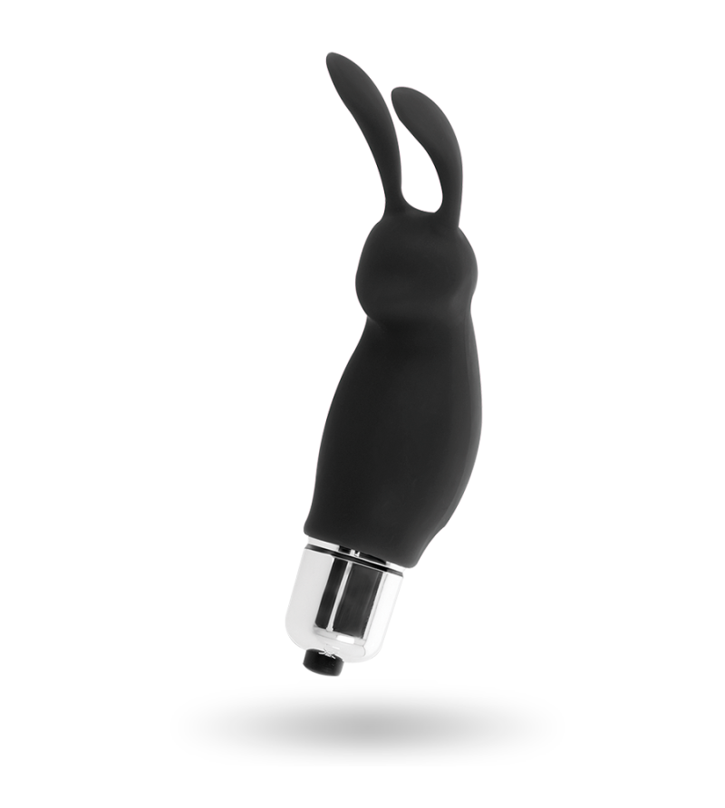 INTENSE - LAPIN ROGER NOIR