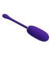 PRETTY LOVE - OEUF VIBRANT JULIUS IMPERMÉABLE-RECHARGEABLE VIOLET
