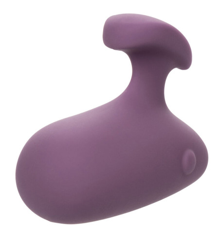 CALEXOTICS - STIMULATEUR MOD TOUCH VIOLET