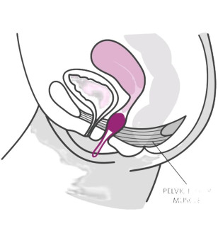 FUN FACTORY - SMARTBALL UNO PELVIC BALL BLANC / VIOLET PASTEL