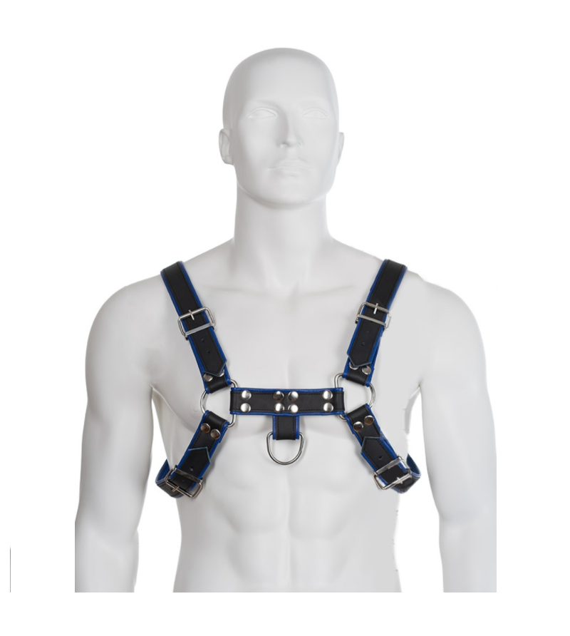 LEATHER BODY - HARNAIS EN CUIR BLEU ET NOIR POITRINE BULLDOG