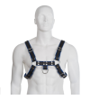 LEATHER BODY - HARNAIS EN CUIR BLEU ET NOIR POITRINE BULLDOG