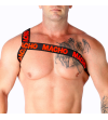 MACHO - HARNAIS ROMAIN PRIDE L/XL