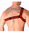 MACHO - HARNAIS ROMAIN PRIDE L/XL