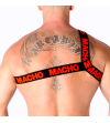 MACHO - HARNAIS ROMAIN PRIDE L/XL