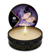 SHUNGA - MINI CARESS BY CANDELIGHT BOUGIE DE MASSAGE FRUITS EXOTIQUES 30 ML