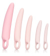 CALEXOTICS - INSPIRE DILATATEUR EN SILICONE ENSEMBLE DE 5 PIÈCES