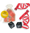 INEDIT - KIT BAG ORGANZA TIES