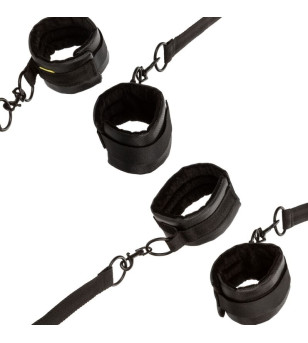 CALEXOTICS - RETENUE ROUGE SANS LIMITES