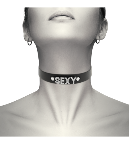 COQUETTE CHIC DESIRE - RAS DE COU SEXY EN CUIR VÉGAN