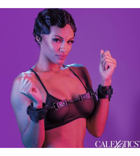 CALEXOTICS - EUPHORIA MENOTTES