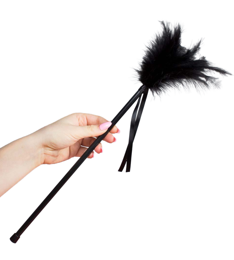 SECRETPLAY - PLUMES NOIRES 40 CM