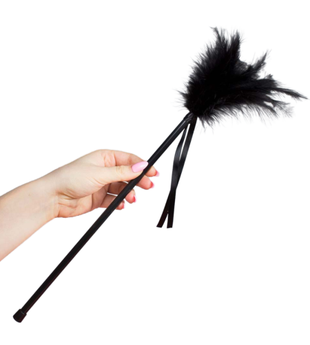 SECRETPLAY - PLUMES NOIRES 40 CM