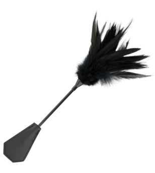 DARKNESS - FOUET À PLUMES...