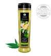 SHUNGA - HUILE DE MASSAGE BIO THÉ VERT 240 ML