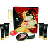 SHUNGA - KIT SECRET GEISHA FRAISES ET CAVA