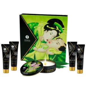 SHUNGA - KIT THÉ VERT BIO SECRET GEISHA