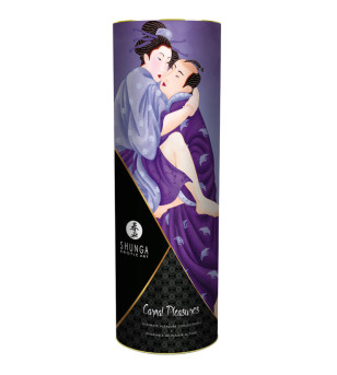 SHUNGA - KIT DE COLLECTION Plaisirs Charnels