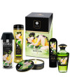 SHUNGA - KIT DE JARDIN EDO COLLECTION BIO