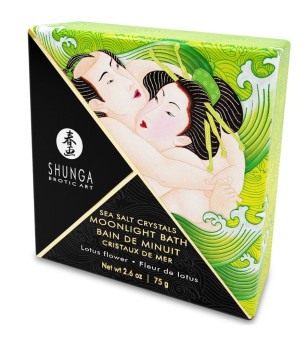 SHUNGA - BAIN OU SELS...