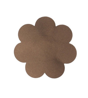 BYE-BRA - RENFORCEMENTSEINS + 3 PAIRES SATINÉES BRUN BONNET F/H