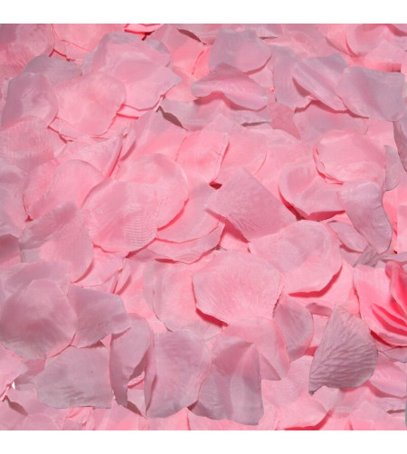 DIABLO PICANTE - 100 PÉTALES ROSES