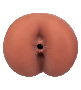 CALEXOTICS - BOUNDLESS...