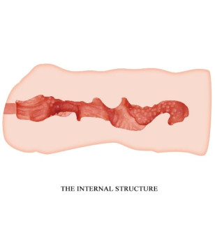 CRAZY BULL - MASTURBATEUR VAGIN LINDA 13.7 CM