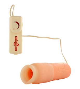 SEVEN CREATIONS -...