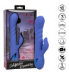 CALEXOTICS - VIBRATEUR  SUCKER LA LOVE BLEU PAR CALIFORNIA DREAMING