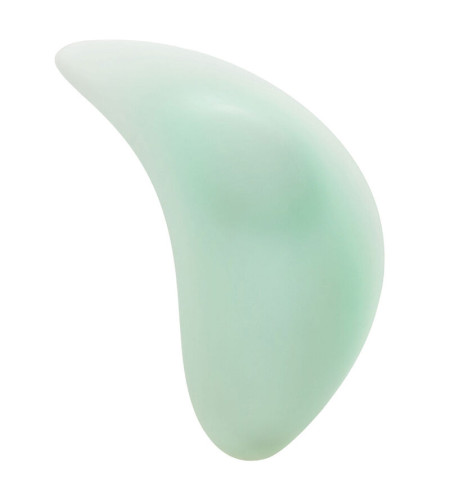 CALEXOTICS - PACIFICA BALI TEASER 10 FONCTIONS AQUA