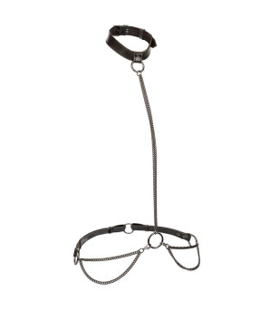 CALEXOTICS - EUPHORIA...