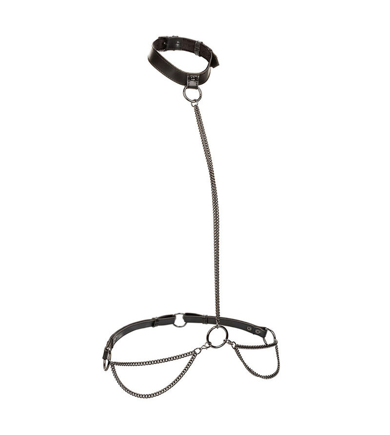 CALEXOTICS - EUPHORIA COLLIER ET LAISSE CHAINE