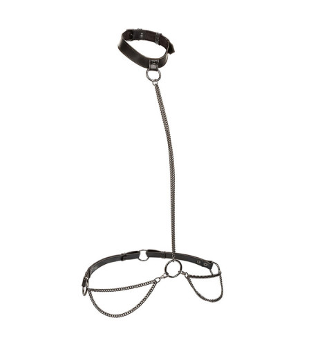 CALEXOTICS - EUPHORIA COLLIER ET LAISSE CHAINE