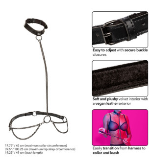 CALEXOTICS - EUPHORIA COLLIER ET LAISSE CHAINE