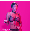 CALEXOTICS - EUPHORIA COLLIER ET LAISSE CHAINE