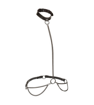 CALEXOTICS - EUPHORIA...