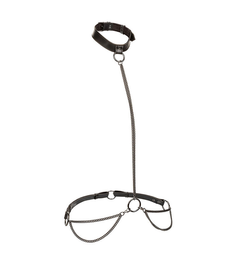 CALEXOTICS - EUPHORIA COLLIER LICOL ET LAISSE GRANDE TAILLE