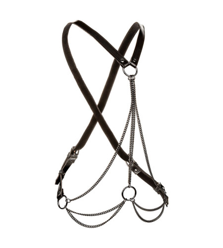 CALEXOTICS - EUPHORIA HARNAIS MULTICHAÎNE PREMIUM GRANDE TAILLE