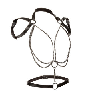 CALEXOTICS - EUPHORIA...