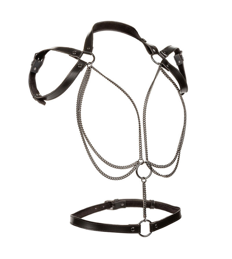 CALEXOTICS - EUPHORIA HARNAIS LICOL MULTICHAÎNES PREMIUM GRANDE TAILLE